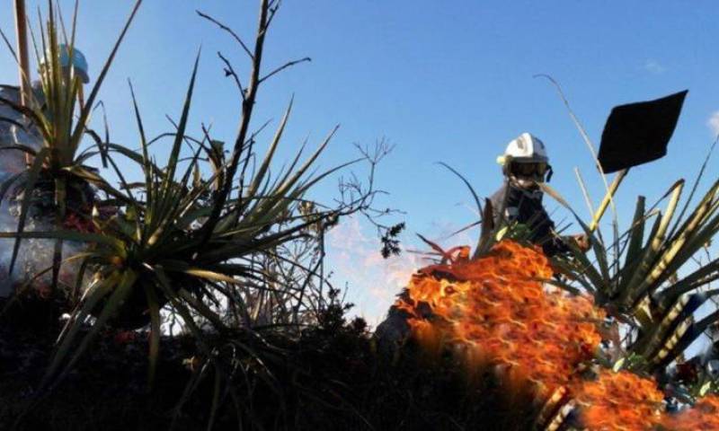 El Ministerio de Ambiente considera al 2018 como “el año más critico en materia de incendios forestales” a escala nacional. Foto: Expreso