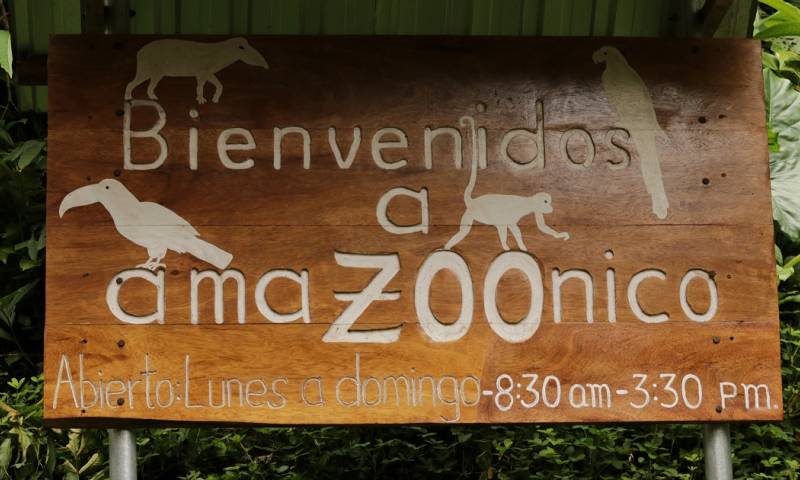 AmaZoonico, un centro de rescate animal en el corazón de la selva ecuatoriana / Foto: El Oriente