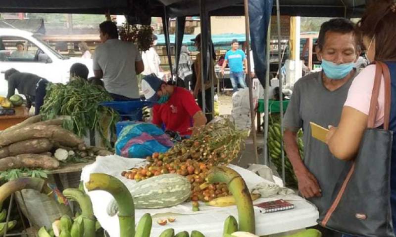 Pequeños productores de Zamora venden sin intermediarios / Foto: cortesía Ministerio de Agricultura