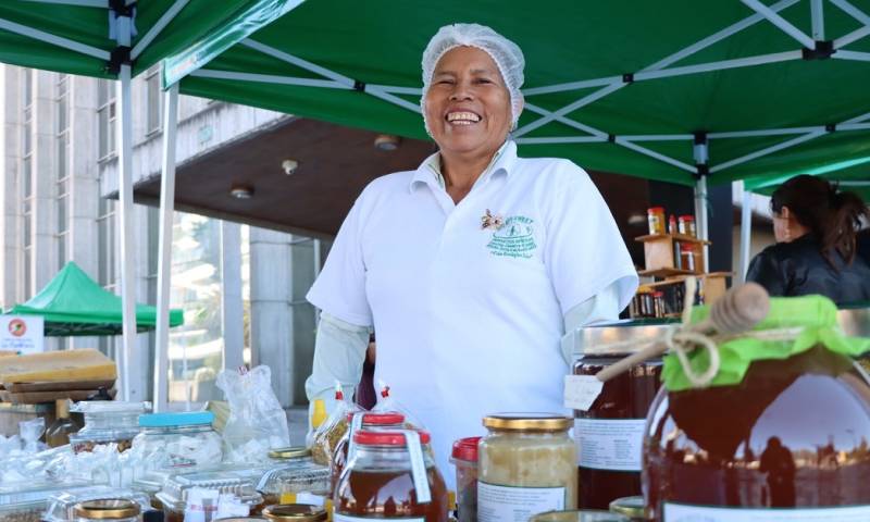 Las principales provincias que se dedican a la apicultura son Imbabura, Loja, Manabí y Pichincha / Foto: cortesía de Agrocalidad 