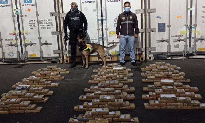 200 kilos de cocaína fueron incautados en cajas de banano; el destino era Portugal / Foto: cortesía Fausto Salinas