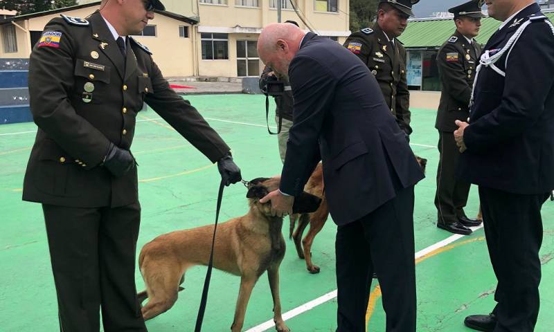 Los canes serán para el Centro Regional de Adiestramiento Canino (CRAC) de la Policía Nacional/ Foto: Cortesia Ministerio del Interior