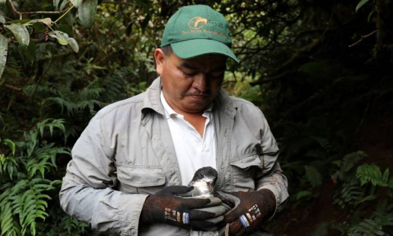 Ecuador descarta un caso sospechoso de gripe aviar en Galápagos / Foto: cortesía Parque Nacional Galápagos