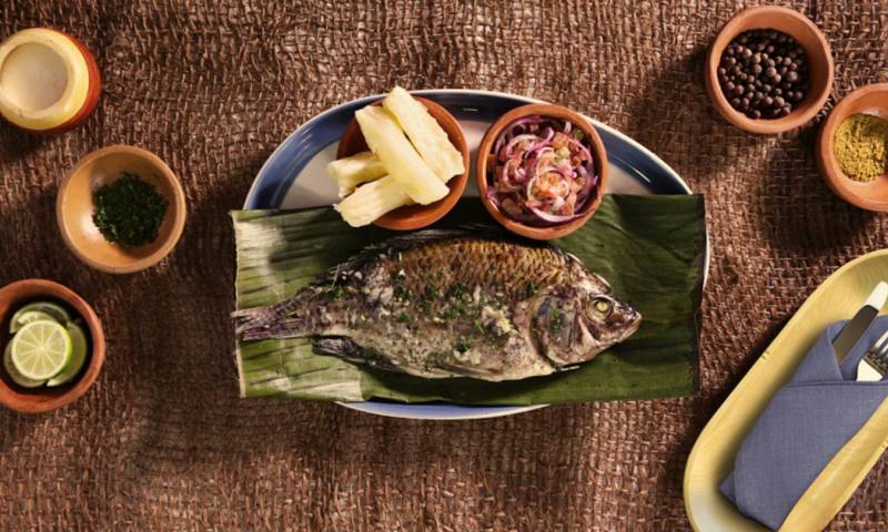El maito de pescado es una muestra de la riqueza culinaria de la Amazonía ecuatoriana y una forma tradicional de disfrutar los sabores de la selva./ Foto: Archivo
