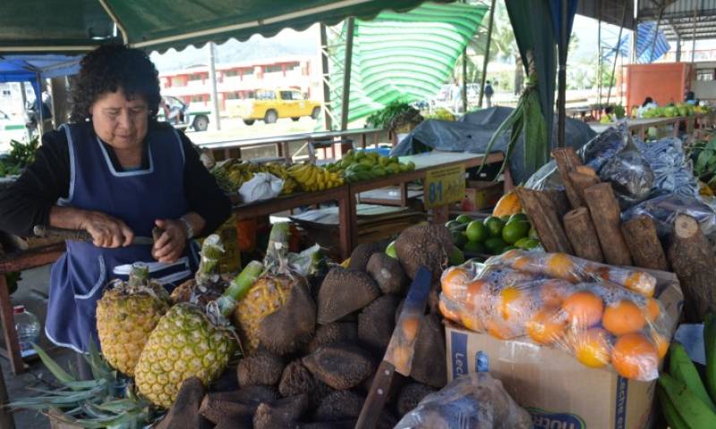 Frutas. Raquel León, saca la comida de la tagua, no hacen artesanías. Foto: Expreso