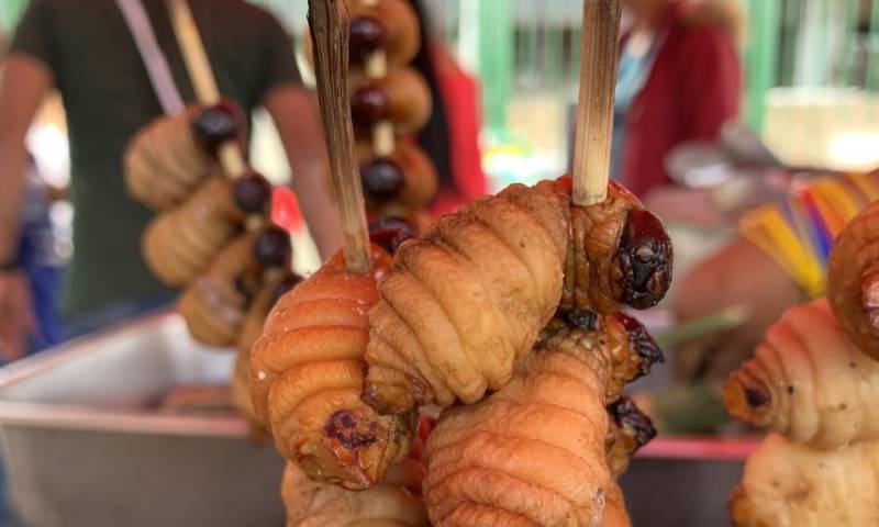 La mayoría de personas que ha probado este exótico plato de la Amazonía ecuatoriana, lo ha comido asado en pinchos / Foto: El Oriente