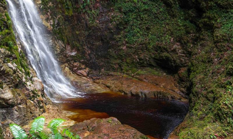 La caída de agua está concretamente en la reserva Los Tepuyes / Foto: cortesía 