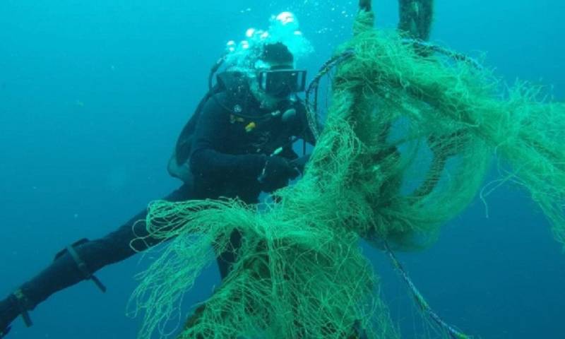 Más de 85 kg de desechos fueron recolectados durante limpieza submarina en Manabí / Foto: cortesía Ministerio de Ambiente