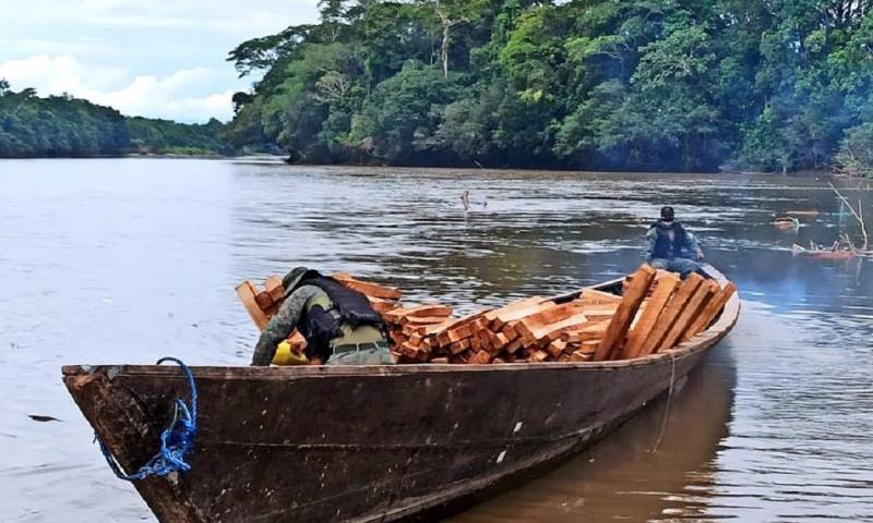 La tala ilegal de madera, un problema incontrolable en la Amazonía / Cortesía del Ejército Ecuatoriano