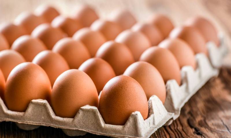 ¿Por qué ha aumentado el precio de los huevos en Ecuador? / Foto: Shutterstock