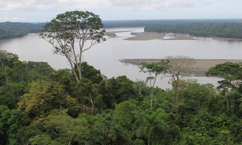 El objetivo del proyecto es promover alternativas productivas sostenibles que reduzcan la deforestación / Foto: El Oriente 