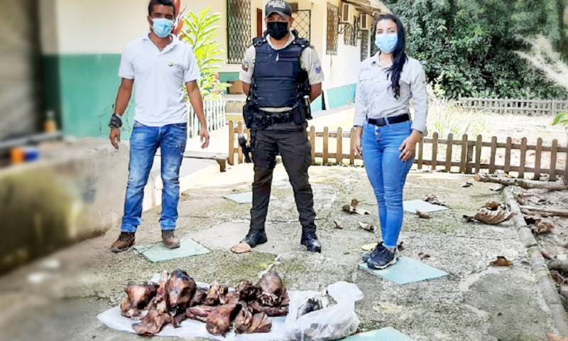 45 libras de carne de saíno fueron retenidas en Sucumbíos / Foto: cortesía de Ministerio de Ambiente