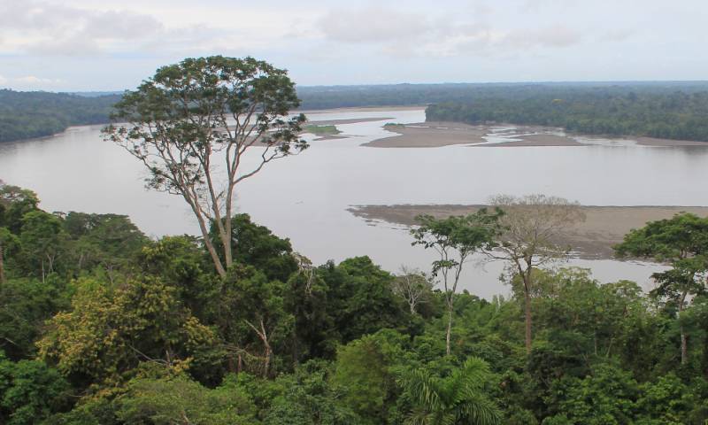 La Amazonía se encuentra inmersa en un punto de no retorno debido a las altas tasas de deforestación y degradación, según el informe 