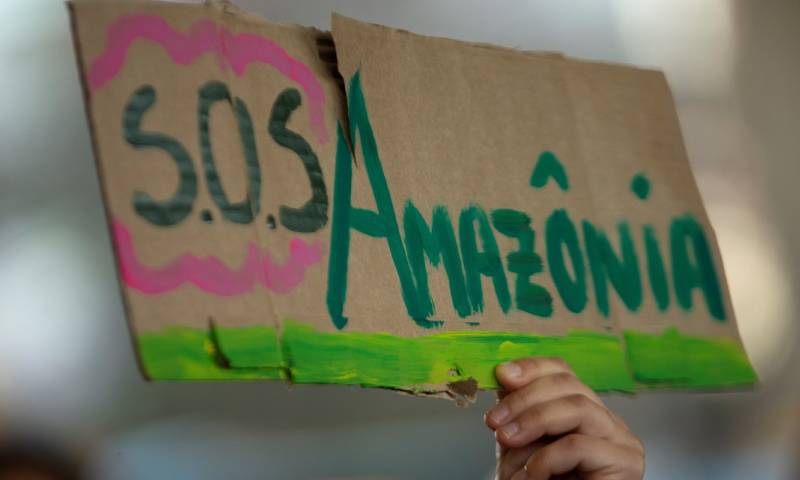 "Las amenazas a la integridad de la Amazonía deben detenerse mediante medidas urgentes para proteger el 80 % de la selva tropical para 2025" / Foto: EFE