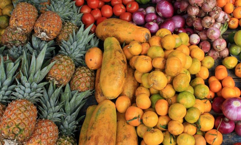 Buscan evitar que un millón de toneladas de alimentos se pierdan en Ecuador / Foto: Shutterstock