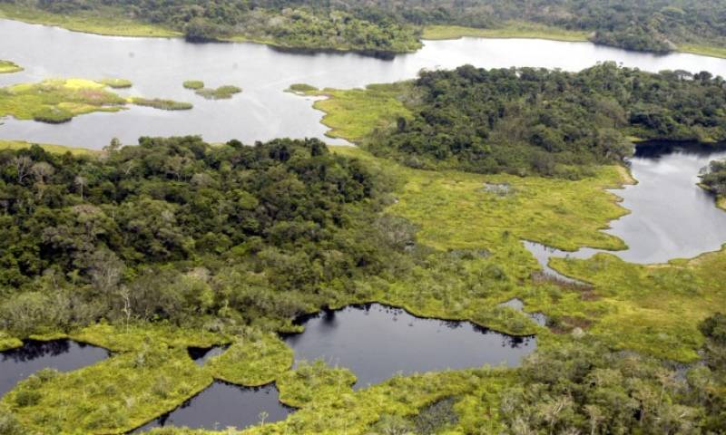 En octubre de 2013, la Asamblea aprobó y declaró de “interés nacional” la explotación petrolera en el Parque Nacional Yasuní. La oferta del Ejecutivo es que se afectaría solo el 1x1000 del parque. Es decir, las 1.035 hectáreas. Foto: Expreso
