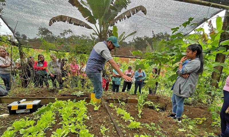 170 huertos familiares se implementaron en Napo / Foto: cortesía Ministerio de Agricultura