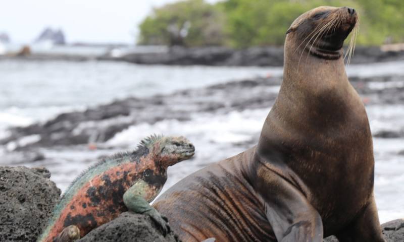 En 2022 se registró el ingreso de 267.688 ciudadanos / Foto: Cortesía Parque Nacional Galápagos