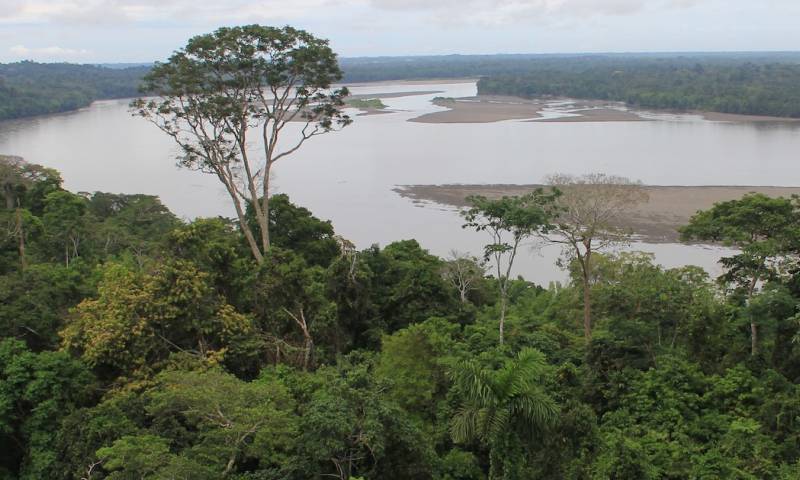 Con más de un millón de hectáreas, el Yasuní es el área natural protegida más grande del Ecuador continental / Foto: El Oriente
