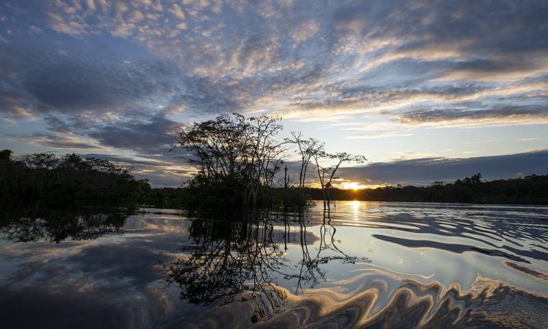 Yasunidos presentó en 2014 más de 800.000 firmas para consultar a los ecuatorianos si están de acuerdo en dejar bajo tierra las reservas de crudo en el llamado eje ITT / Foto: EFE