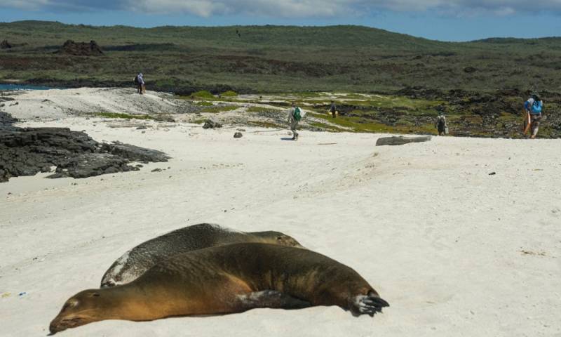 La conservación del archipiélago de las Galápagos es la moneda de cambio que el Gobierno ha utilizado para llevar a cabo una operación de reconversión de deuda/ Foto: cortesía Parque Nacional Galápagos