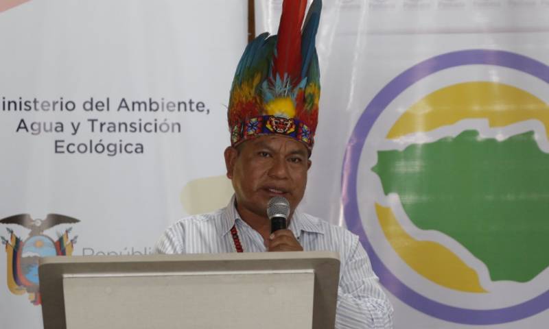 Con la implementación de los procesos de restauración forestal en Arajuno, aproximadamente 250 familias se beneficiarán / Foto: cortesía ministerio de Ambiente 