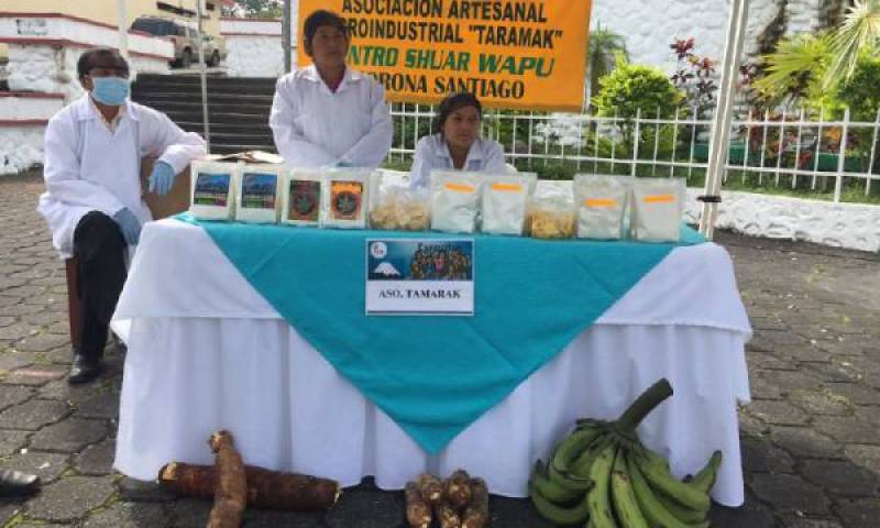 Las notificaciones sanitarias sirven para la comercialización de harina de yuca y harina de plátano. Foto: El Universo