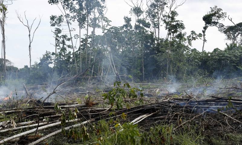 La mayor pérdida de bosque natural se presentó en el "arco de la deforestación" que comprende los departamentos de Meta, Caquetá, Guaviare y Putumayo/ Foto: cortesía EFE