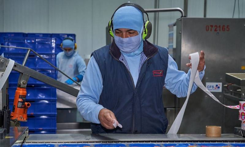 La proteína salió del centro de faenamiento de Pronaca, ubicado en Valle Hermoso/ Foto: Cortesía Agrocalidad