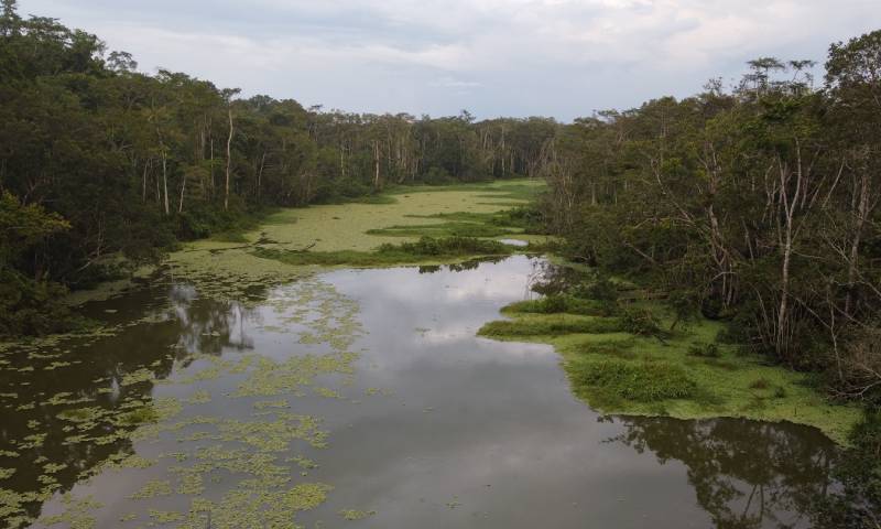 El territorio mapeado incluyó también 3 áreas protegidas: Yasuní, Cuyabeno y Limoncocha/ Foto: El Oriente