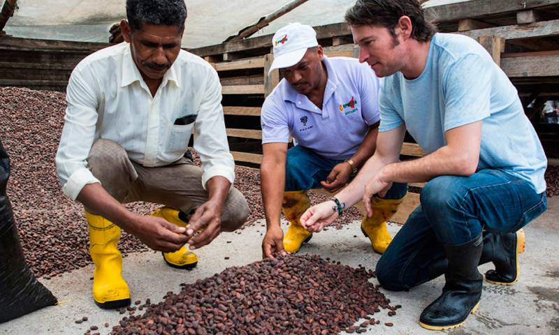 Paccari, chocolate fabricado con cacao sostenible y valor agregado / Foto: EFE