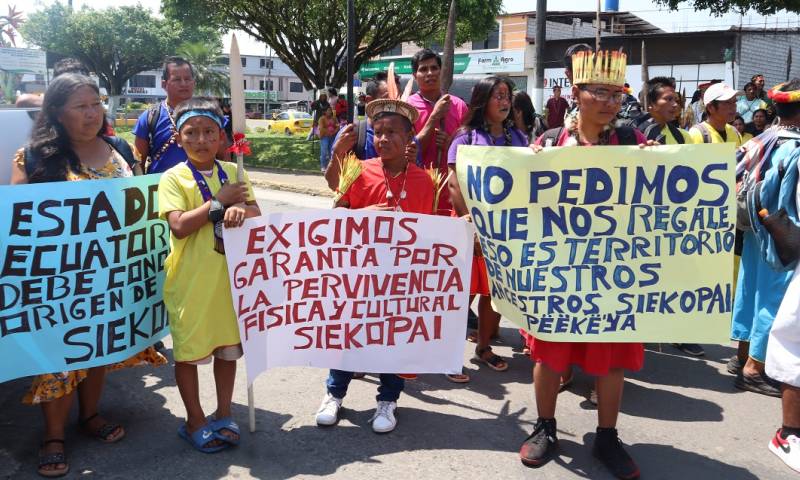 La acción de protección fue presentada ante la Justicia de Shushufindi, en la provincia de Sucumbíos / Foto: EFE