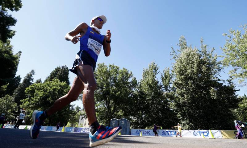 El Comité Olímpico Ecuatoriano  anunció que Vargas y Pintado encabezarán la delegación de 219 deportistas durante las competencias en la capital paraguaya / Foto: EFE