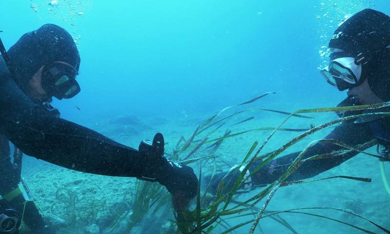 La función de la inmensa masa de agua que ocupa el 71 % de la tierra es esencial para el clima y el bienestar humano / Foto: EFE