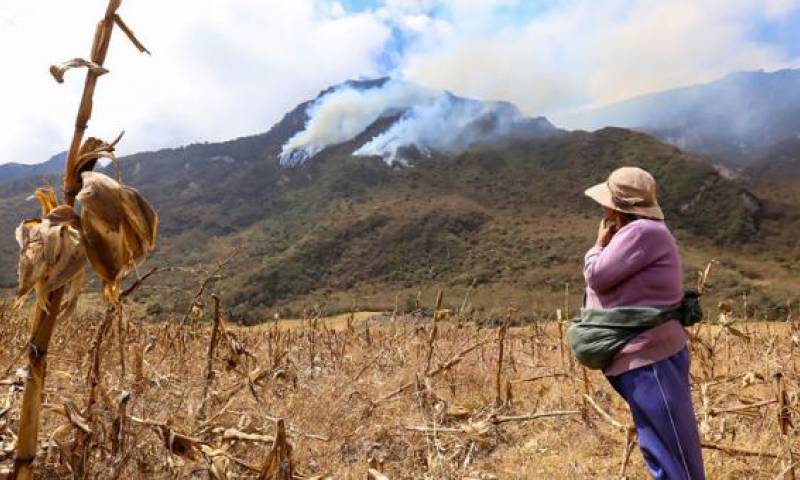 Plantas y animales de la Reserva del Pululahua están en peligro. Foto: El Comercio