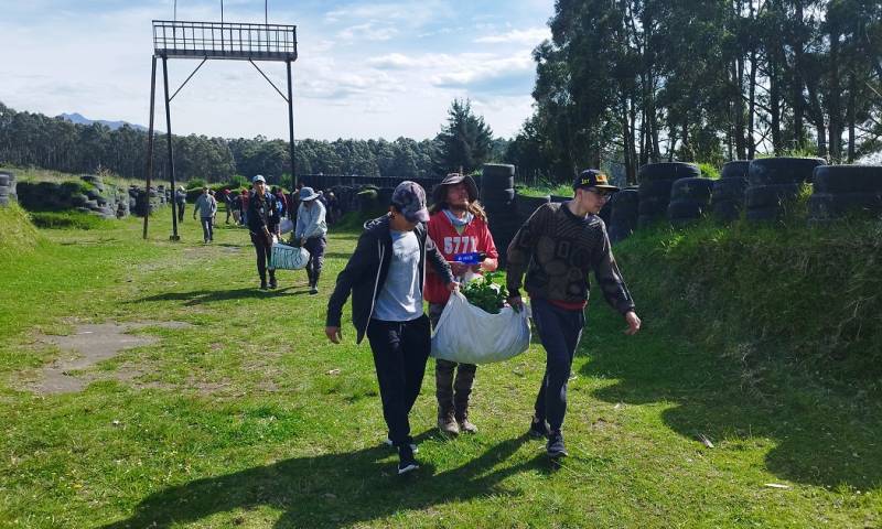 El objetivo del proyecto es promover la reforestación y el cuidado del medio ambiente en el país/ Foto: cortesía PUCE