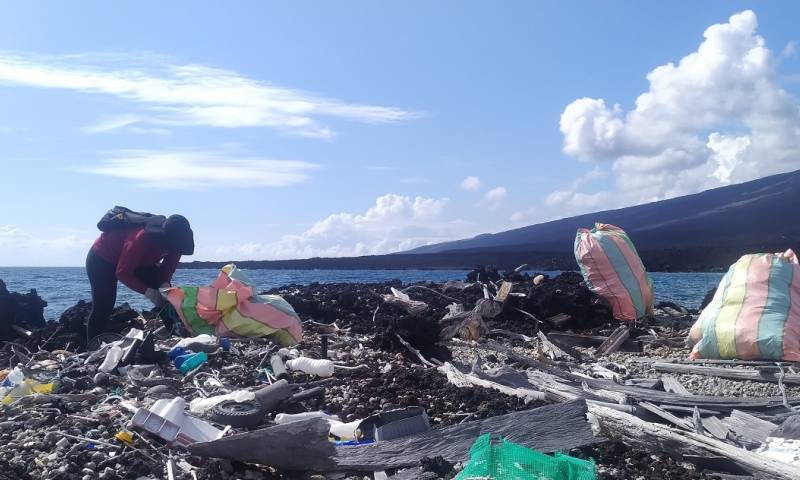 3,6 toneladas de basura fueron recogidas en isla Isabela / Foto: EFE