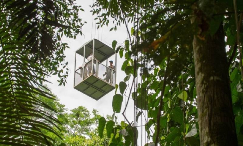 El artículo se tituló: Hay una nueva forma de recorrer la selva amazónica: en grúa/ Foto: cortesía Sacha Lodge