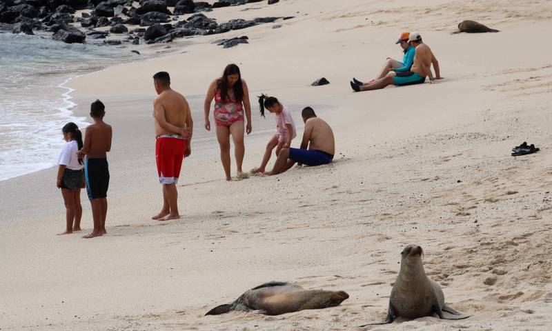 Galápagos, entre los embates de la pandemia y restricciones medioambientales / Foto: EFE