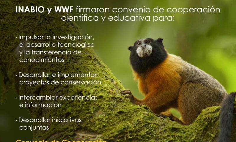Cortesía de El Instituto Nacional de Biodiversidad (INABIO)