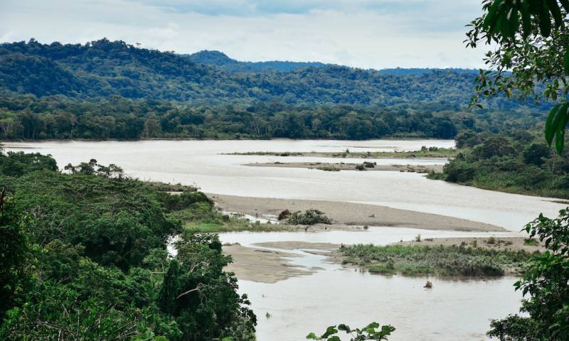 The Napo River. Image: Clarissa Wei