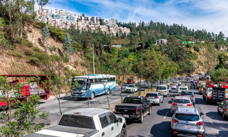 Pico y placa del 25 de abril de 2024 en Quito, placas terminadas en 7 y 8 no podrán circular / Foto: Shutterstock