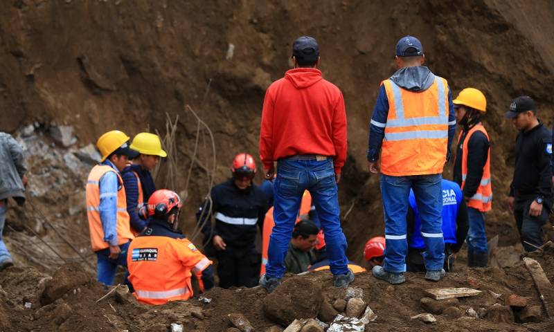 La medida comprende 152,22 hectáreas en zonas de Namza Chico, Pazán, Quebrada La Ninfa, UE Eloy Alfaro y Puente Chachán, de la parroquia Huigra/ Foto: Cortesía EFE