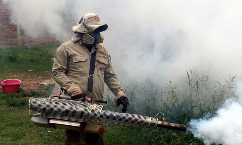 En lo que va del año, en Ecuador se han registrado 16.492 casos de dengue / Foto: EFE