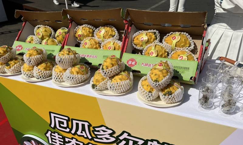 En 2 semanas se efectuaron 17 envíos con un total de 11.432,50 kilos de pitahaya, correspondiente a 4.573 cajas exportadas / Foto: cortesía Embajada de Ecuador en China