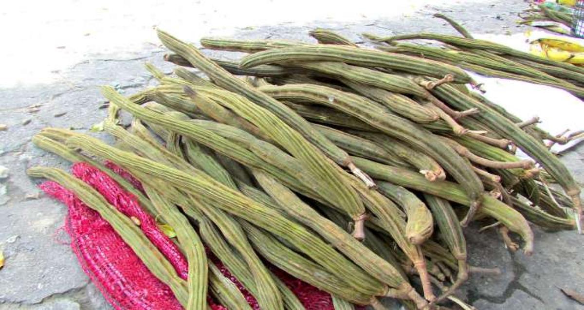 La guaba, fruta apetecida por muchos El Oriente, Ecuador